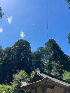 大宮温泉神社のその他建物(2022年05月29日(日) 08時16分51秒投稿)