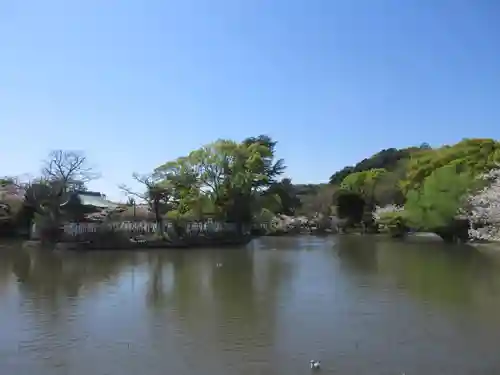 鶴岡八幡宮(神奈川県)