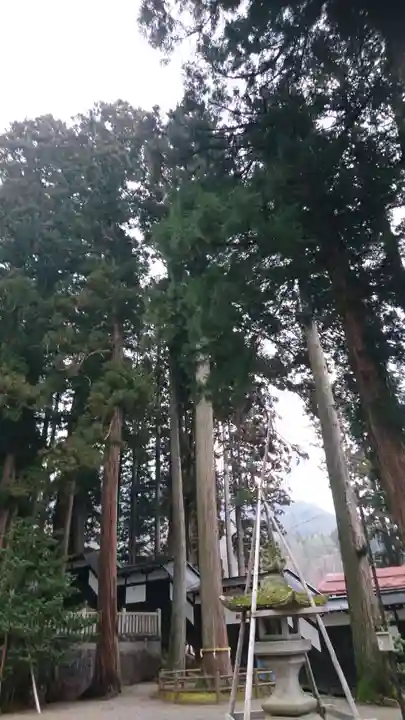 気多若宮神社の自然