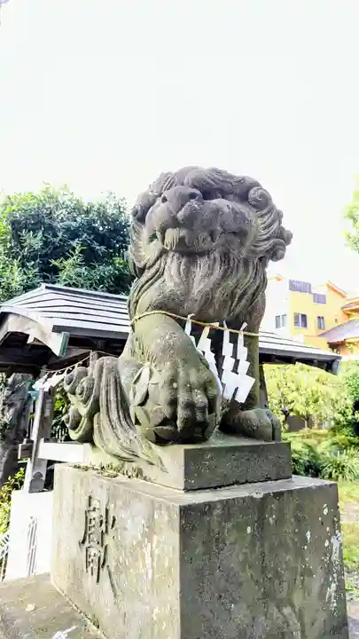 鳩ヶ谷氷川神社の狛犬