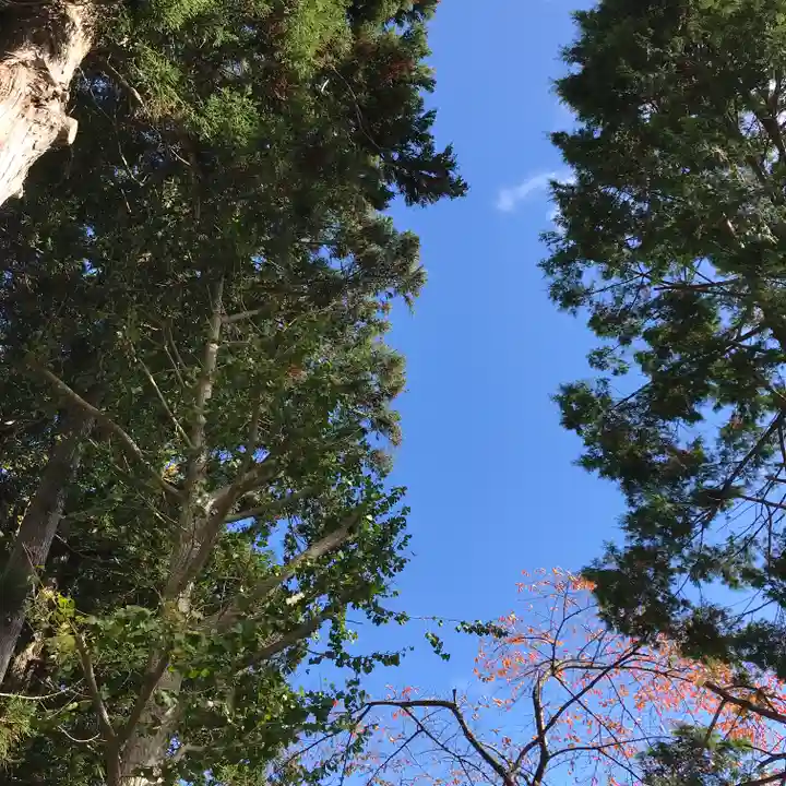 高司神社〜むすびの神の鎮まる社〜の自然