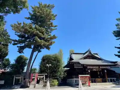 中野沼袋氷川神社の{uncategorized: "未分類", other: "その他", undefined: "問題あり", building: "その他建物", grave: "お墓", sacred_gate: "鳥居", guardian: "狛犬", statue: "像", buddha: "仏像", history: "歴史", nature: "自然", garden: "庭園", animal: "動物", pagoda: "塔", temizu: "手水舎", mountain_gate: "山門・神門", sanctuary: "本殿・本堂", subordinate: "末社・摂社", art: "芸術", scenery: "景色", jizo: "地蔵", ema: "絵馬", goshuin: "御朱印", omikuji: "おみくじ", items: "授与品その他", amulet: "お守り", goshuincho: "御朱印帳", eats: "食事", festival: "お祭り", votive_dance: "神楽", shichigosan: "七五三参", wedding: "結婚式", experience: "体験その他", initially: "初詣", around: "周辺", anti_infection: "感染症対策"}