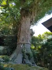 荏柄天神社(神奈川県)