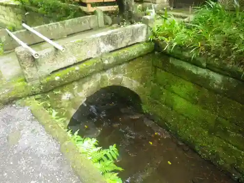 明月院の庭園