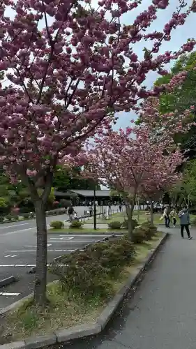 霧島神宮(鹿児島県)