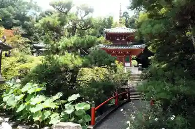 平等寺（三輪山平等寺）のその他建物