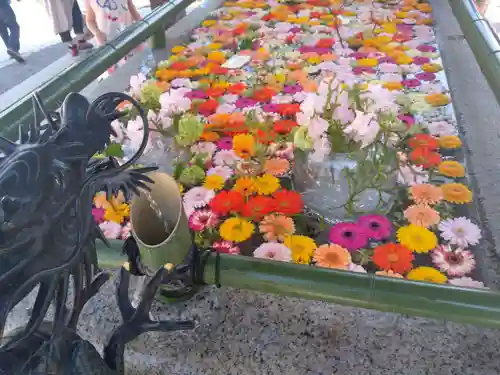 住吉神社の手水舎