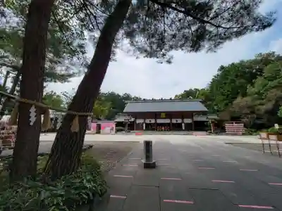 櫻木神社のその他建物
