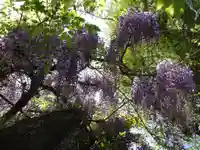 長福寺の自然
