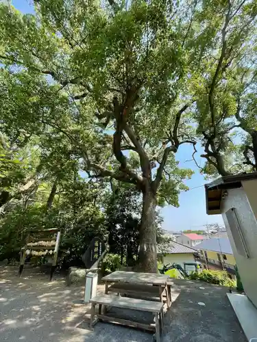 惣社宮(福岡県)