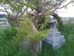 水神社の本殿