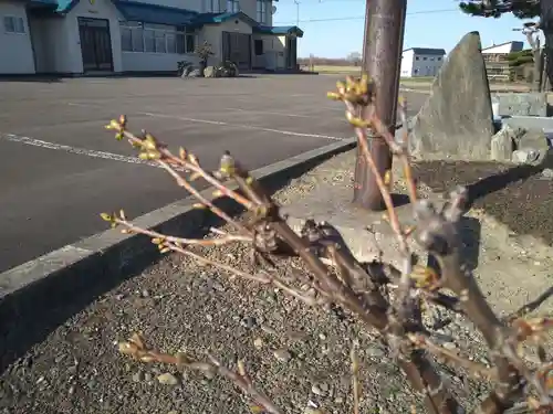雨竜　専福寺(北海道)