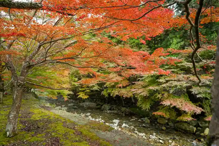 大寧寺(山口県)