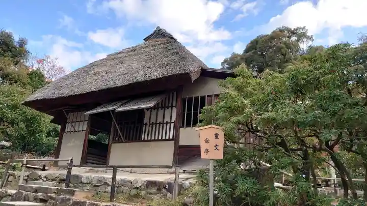 高台寺(高台寿聖禅寺・高臺寺)の{uncategorized: "未分類", other: "その他", undefined: "問題あり", building: "その他建物", grave: "お墓", sacred_gate: "鳥居", guardian: "狛犬", statue: "像", buddha: "仏像", history: "歴史", nature: "自然", garden: "庭園", animal: "動物", pagoda: "塔", temizu: "手水舎", mountain_gate: "山門・神門", sanctuary: "本殿・本堂", subordinate: "末社・摂社", art: "芸術", scenery: "景色", jizo: "地蔵", ema: "絵馬", goshuin: "御朱印", omikuji: "おみくじ", items: "授与品その他", amulet: "お守り", goshuincho: "御朱印帳", eats: "食事", festival: "お祭り", votive_dance: "神楽", shichigosan: "七五三参", wedding: "結婚式", experience: "体験その他", initially: "初詣", around: "周辺", anti_infection: "感染症対策"}