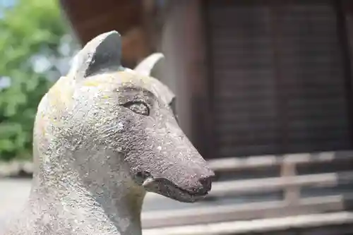 稲荷神社の狛犬