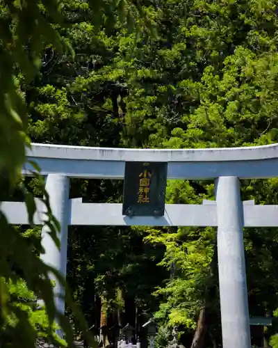 小國神社(静岡県)