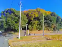 神明社の自然