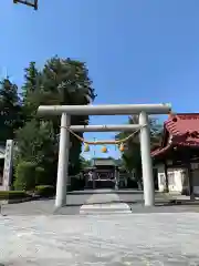 白鷺神社の鳥居