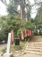 塩船観音寺(東京都)