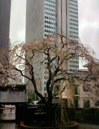 常圓寺(東京都)