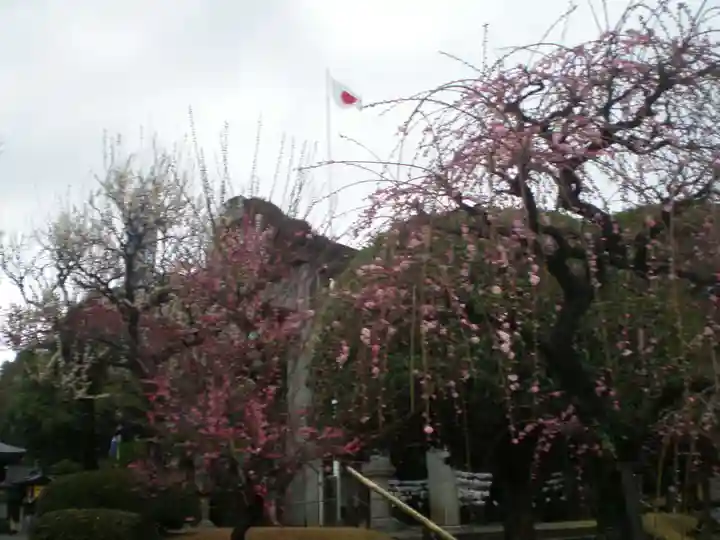 出水神社の自然