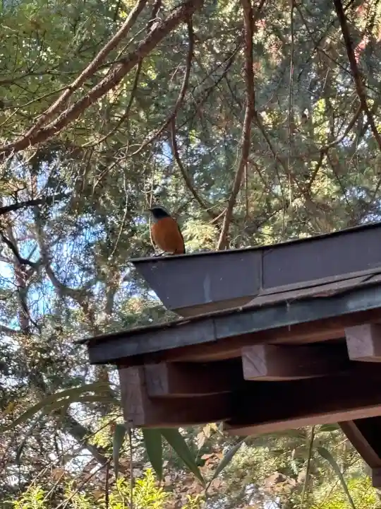 氷川女體神社の{uncategorized: "未分類", other: "その他", undefined: "問題あり", building: "その他建物", grave: "お墓", sacred_gate: "鳥居", guardian: "狛犬", statue: "像", buddha: "仏像", history: "歴史", nature: "自然", garden: "庭園", animal: "動物", pagoda: "塔", temizu: "手水舎", mountain_gate: "山門・神門", sanctuary: "本殿・本堂", subordinate: "末社・摂社", art: "芸術", scenery: "景色", jizo: "地蔵", ema: "絵馬", goshuin: "御朱印", omikuji: "おみくじ", items: "授与品その他", amulet: "お守り", goshuincho: "御朱印帳", eats: "食事", festival: "お祭り", votive_dance: "神楽", shichigosan: "七五三参", wedding: "結婚式", experience: "体験その他", initially: "初詣", around: "周辺", anti_infection: "感染症対策"}
