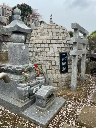 東光寺の{uncategorized: "未分類", other: "その他", undefined: "問題あり", building: "その他建物", grave: "お墓", sacred_gate: "鳥居", guardian: "狛犬", statue: "像", buddha: "仏像", history: "歴史", nature: "自然", garden: "庭園", animal: "動物", pagoda: "塔", temizu: "手水舎", mountain_gate: "山門・神門", sanctuary: "本殿・本堂", subordinate: "末社・摂社", art: "芸術", scenery: "景色", jizo: "地蔵", ema: "絵馬", goshuin: "御朱印", omikuji: "おみくじ", items: "授与品その他", amulet: "お守り", goshuincho: "御朱印帳", eats: "食事", festival: "お祭り", votive_dance: "神楽", shichigosan: "七五三参", wedding: "結婚式", experience: "体験その他", initially: "初詣", around: "周辺", anti_infection: "感染症対策"}