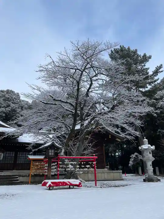 群馬県護国神社(群馬県)