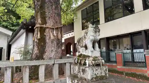 岩屋神社(京都府)
