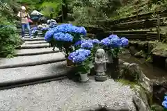 岡寺（龍蓋寺）の地蔵