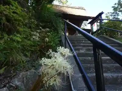 泥牛庵のその他建物