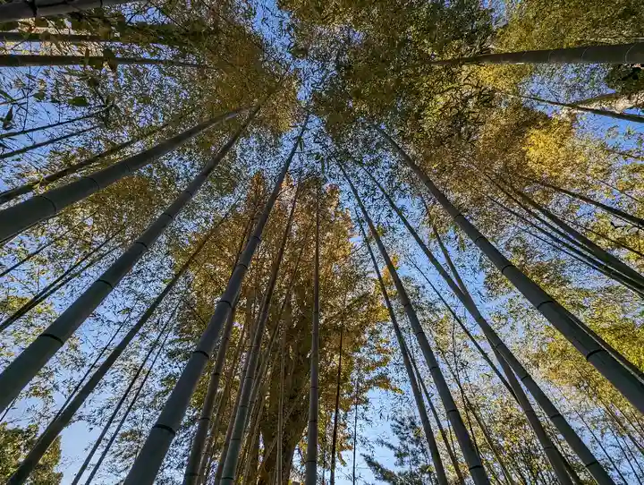 大安寺(奈良県)