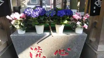 高円寺氷川神社の手水舎