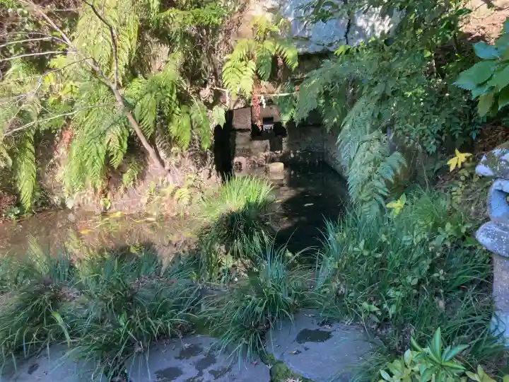 杉本寺(神奈川県)