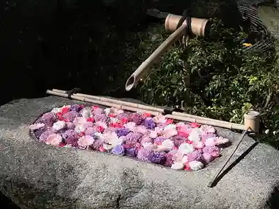 妙顯寺（妙顕寺）(京都府)