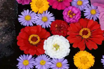 大鏑神社の手水舎