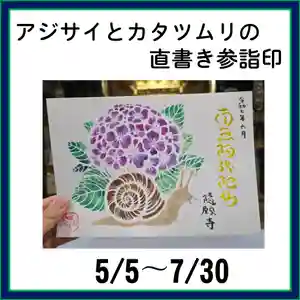 隨願寺の御朱印 2025年05月05日(月)〜(2025年05月09日(金) 01時17分01秒投稿)