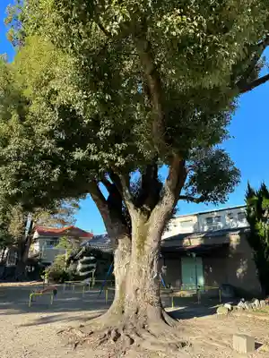 日長神社の自然