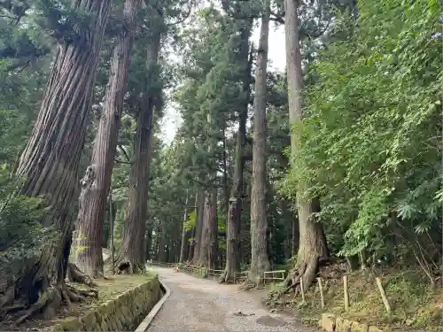 中尊寺(岩手県)