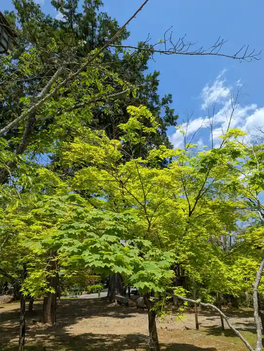 真正極楽寺(真如堂)(京都府)