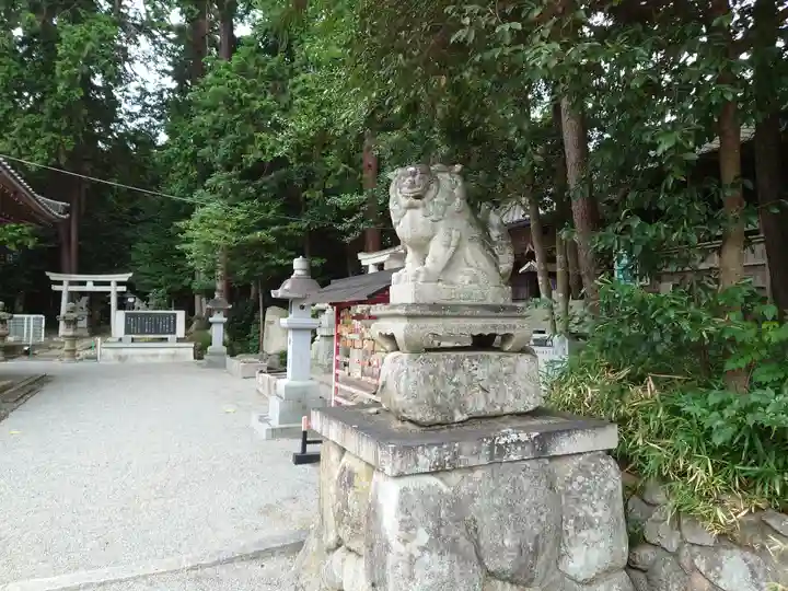 立志神社の狛犬
