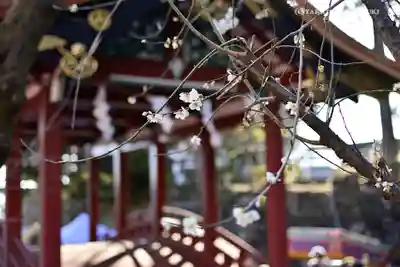筑波山神社のその他建物