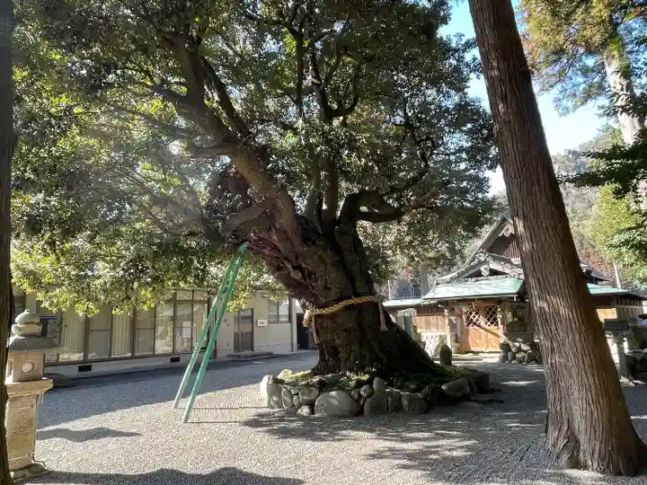 加茂神社の自然
