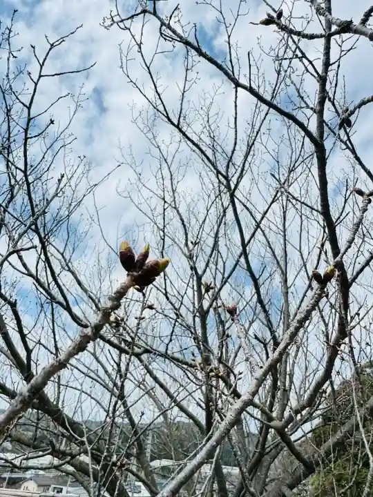 大雄院(茨城県)