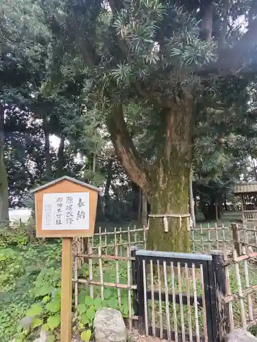 伊弉諾神社(埼玉県)