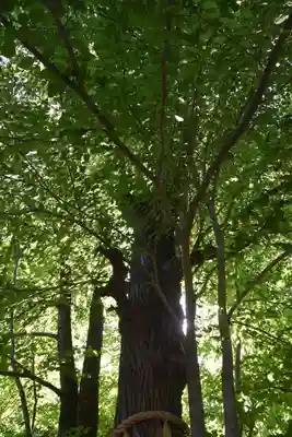 梨木神社の自然