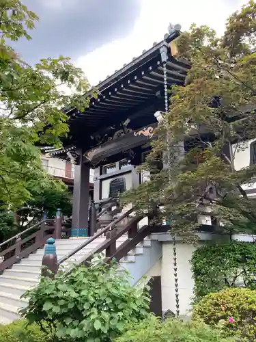 金剛寺の本殿・本堂