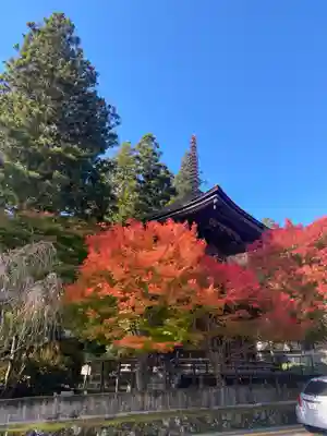 南院(和歌山県)