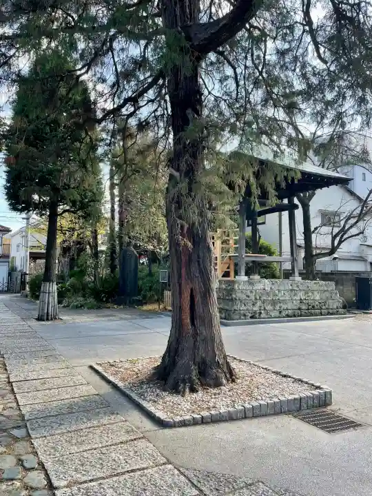 安養寺(東京都)