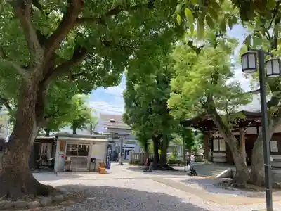 橘樹神社(神奈川県)